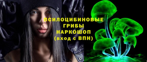 винт Надым
