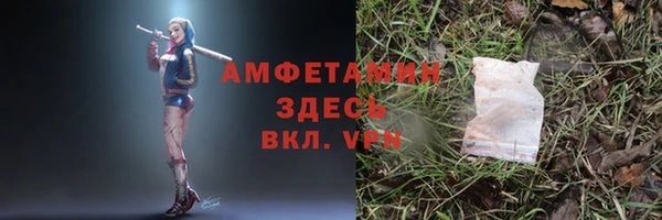 шишки Мегион